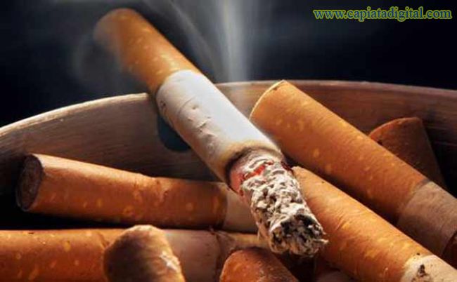 Terrible: El tabaco mataría a seis millones de personas este año, advierten